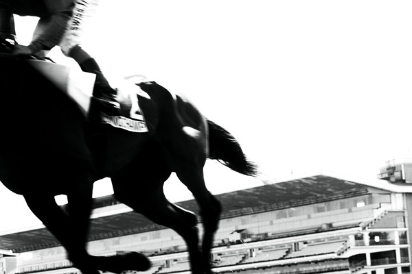 Qatar Prix de l'Arc de Triomphe