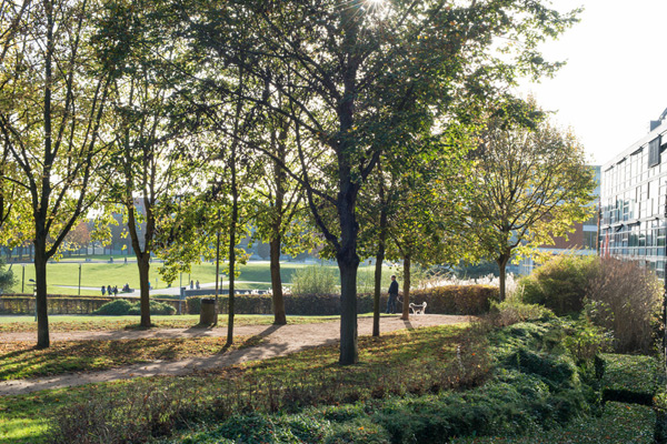 Jardin de l'université de Saint-Quentin-en-Yvelines
