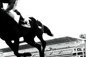 cheval-course-galop@2x